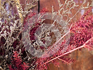 Dried grass on old brown wood with vintage style, Fresh colors of Hay flower for decoration