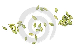 Dried green cardamom seeds isolated on white background, top view