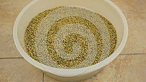 dried green lentils, edible dried lentils, close-up green dried lentils,dried green lentils for table and food in a bowl