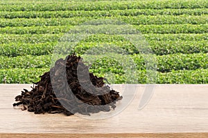 Dried green tea on wood table and blurred tea plantation background