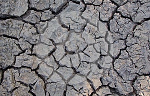 Dried grey cracked earth background during drought with splits in soil photo