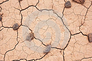 Dried Ground With Mudcracks