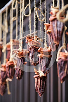 Dried Hachiya Persimmon hanging in a japanese street, Takayama town, Japan. photo