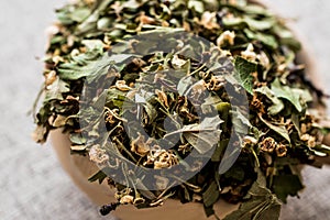 Dried Hawthorn / Crataegi folium flore in wooden ladle photo