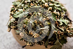 Dried Hawthorn / Crataegi folium flore in wooden ladle