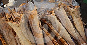 Dried headless stockfish is a popular delicacy for sale at fish market