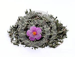 Dried herb of Cistus incanus, known as rock rose photo