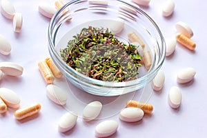 Dried herbs in a bowl on nutritional supplements pills background. Alternative herbal medicine, naturopathy and homeopathy