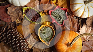 Dried Herbs in Bowls with Pumpkins on Dry Leaves