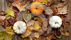 Dried Herbs in Bowls with Pumpkins on Dry Leaves