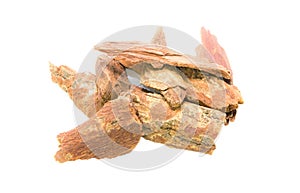 Dried Herbs,Cinnamomum bejolghota (Ham.) Sweet