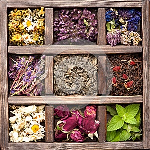 Dried Herbs and flowers