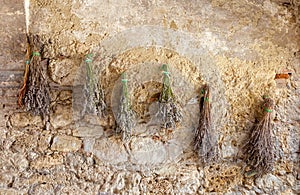 Dried herbs and flowers hang on stretching and drying in the sun suspended from the wall.