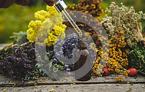 Dried herbs medicinal tinctures extracts in the garden. Selective focus.