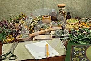 Dried herbs for use in alternative medicine