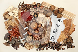 Dried Herbs used in Chinese Herbal Medicine.