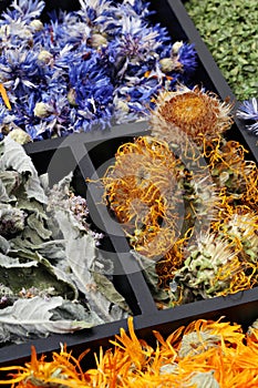 Dried herbs. photo