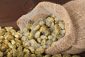 Dried hops