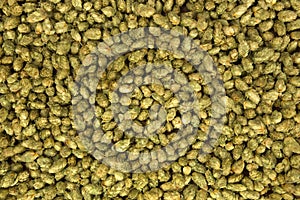 Dried hops