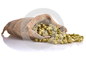 Dried hops