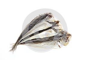 Dried Horse mackerel