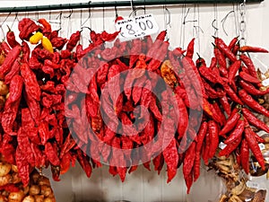 Dried hot red chilli peppers pimenta madeira