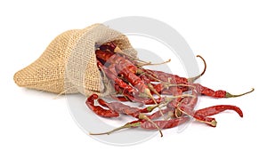 Dried hot red chillies in a sack on white backgroud