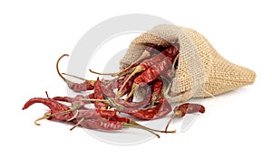 Dried hot red chillies in a sack on white bcackgroud