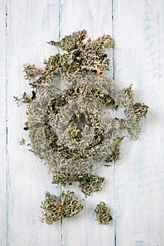 Dried Icelandic moss, folk remedy for coughs