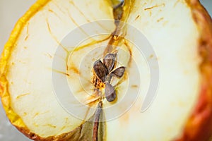 Dried incised apple close-up. Apple pits close up