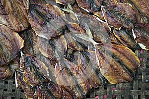 Dried Indian mackerel dried fish