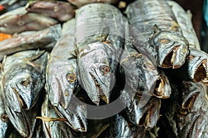 Dried Indo-Pacific king mackerel fish for sale in the market