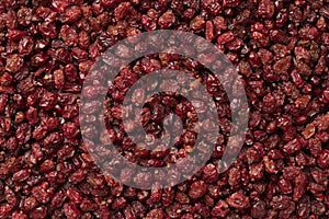 Dried Iranian barberries close up full frame