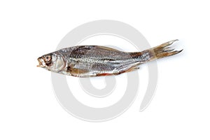 Dried or jerky salted roach, palatable clipfish isolated on white background. Salty beer appetizer. Traditional way of