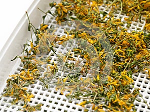 Dried johnswort leaves and flowers