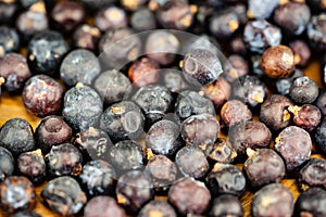 dried juniper berries