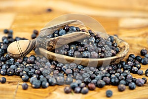 dried juniper berries