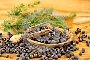 dried juniper berries