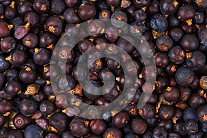 Dried Juniper Berries background