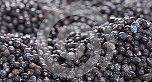 Dried Juniper Berries background image