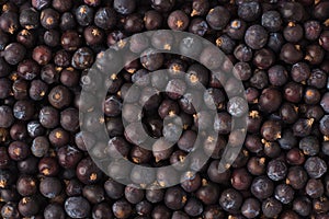 Dried juniper berries spice as a background, natural seasoning t