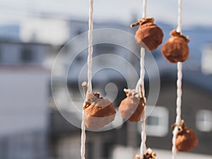 Dried Kaki fruits on the balcony in North Japan.