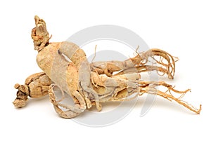 Dried Korean Ginseng photo