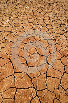 Dried lake in the Namib desert