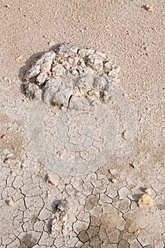Dried Lake with Stromatolite photo