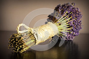 Dried lavander photo