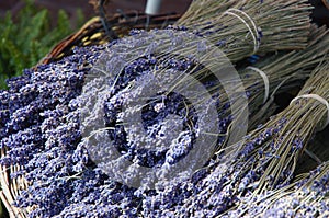 Dried Lavendar in Provence Market photo