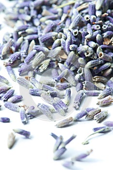 Dried lavender