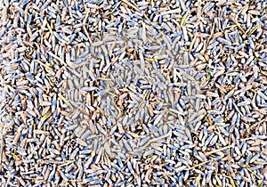 Dried lavender flowers