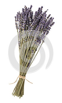 Dried lavender flowers photo